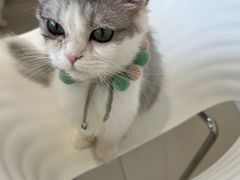 -怪兽屋·羊驼·猫咖·狗咖(俊华广场店)