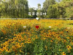 -北京奥林匹克公园