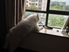 -大玩家超乐场(金华万达店)