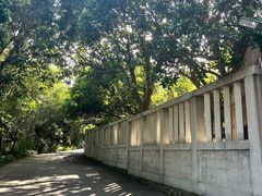 -草庵摩尼教遗址公园