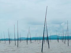 -北岐滩涂