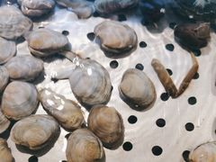 小鲍鱼-喜庭海鲜自助(来福士店)