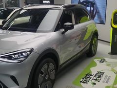 -上海浦东smart汽车全功能店(金桥店)