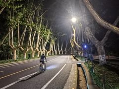 -紫金山山顶公园