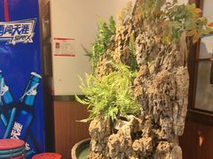 -成老灶火锅鸡(平山店)