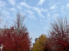 -辽宁大学(崇山校区)