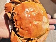 -蟹榭·本帮江浙菜·蟹宴(五角场合生汇商场店)