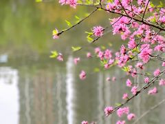 -重庆彩云湖湿地公园