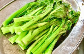 Fresh Oil Mustard Greens