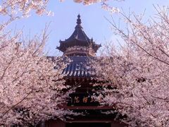 -牛首山文化旅游区