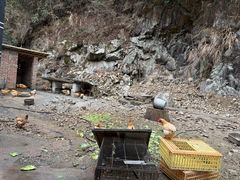 -途中饭店(开化店)