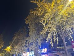 -一只酸奶牛(奎星楼店)