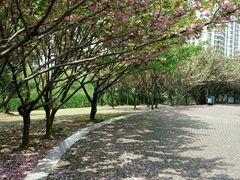 -苏州河梦清园环保主题公园