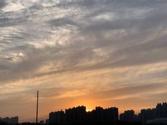 -陈三娃泡姜鸡(太白北路店)