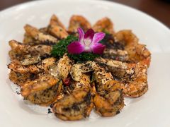 -碧丽宫大酒店(召稼楼店)