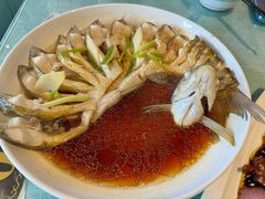 孔雀开屏鱼-西塘人家•黑金冠本地好店