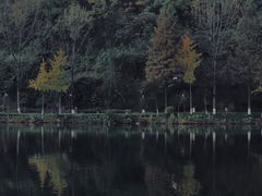 -重庆彩云湖湿地公园