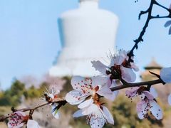 -北海公园