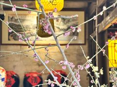 -西溪南古村落