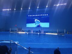 -石家庄极地海洋世界