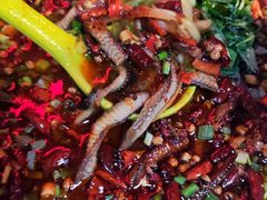 藿香水煮鳝丝-二钳洞庭虾蟹·江湖菜(成都鹭岛店)