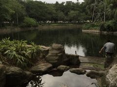 -晓港公园