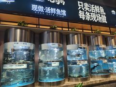 -老船舫·现做活鲜鱼馆(东郊记忆店)
