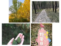 -森林公园(尖草坪区)