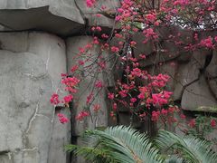 -烈士陵园(地铁站)