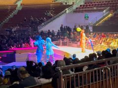 -灵玲国际马戏城