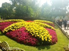 -共青国家森林公园-售票处