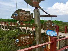 -北海金海湾红树林生态旅游区