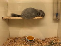 -龙猫仔乐园(惠福东路店)