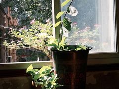 -胖哥料理(兴义里店)