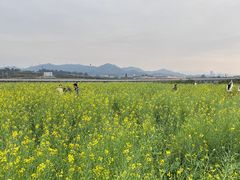 -光明小镇欢乐田园