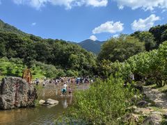 -广州市石门国家森林公园