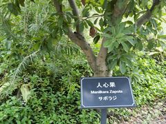 -厦门悦华酒店