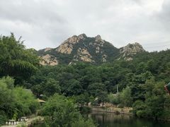 -无染寺