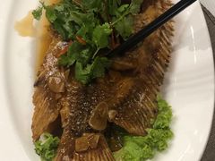-新加坡宏仁堂御膳厅