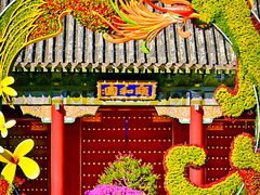 -颐和园