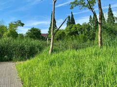 -长田漾湿地公园