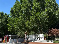 -大望京公园