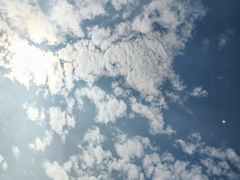 -艾溪湖湿地公园
