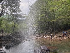 -四明山国家森林公园