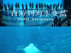 -三亚亚特兰蒂斯度假区