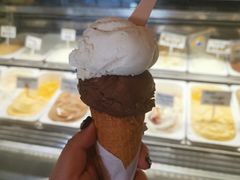 -Dooley's Premium Ice Cream