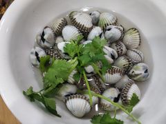 血蛤-长平肥姐白粥·海鲜打冷