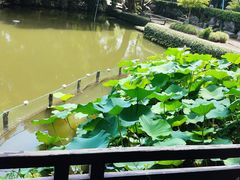 -绮园景区