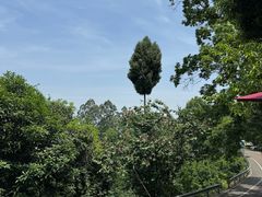 -樱桃山旅游景区