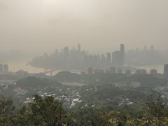 -南山植物园